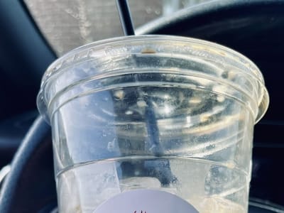 Maple Moose Coffee Co.