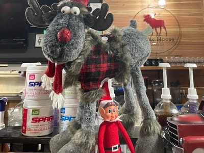 Maple Moose Coffee Co.