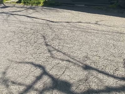 Maplewood Coffee & Tea