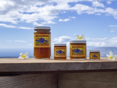 Maui Bees