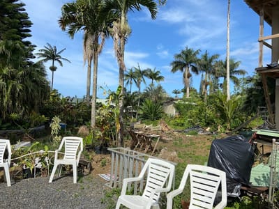 Maui Garden Grove Cafe