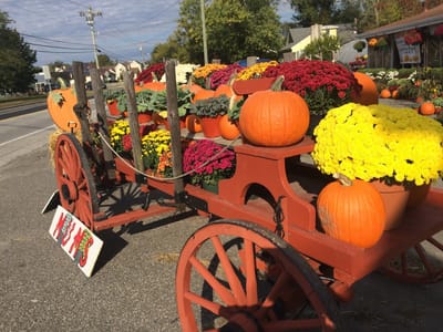 Mazza's Market and Coffee House