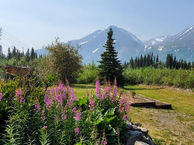 McKinley Creekside Cabins, Café & Bakery