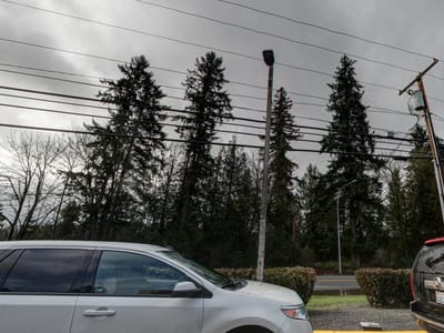 Mercurys Coffee Co. - Redmond-Fall City Rd