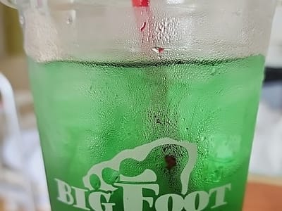 Meridian BigFoot Java