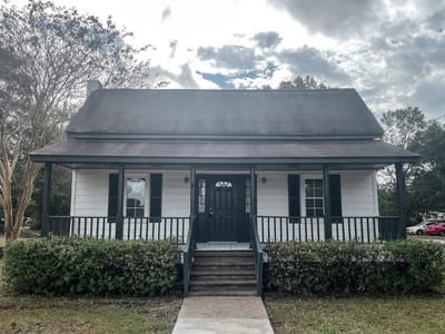 Mews + Brews Cat Cafe