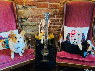 Midge & Millie's Booksellers