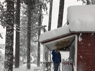 Millie's Ice Cream and Coffee Co.