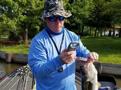 Minnow Bucket Marina