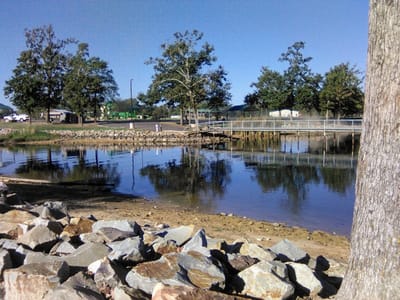 Minnow Bucket Marina