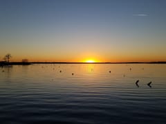 Minnow Bucket Marina