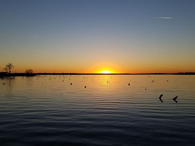 Minnow Bucket Marina