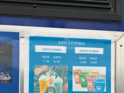 Mishka’s Little Bear Korner