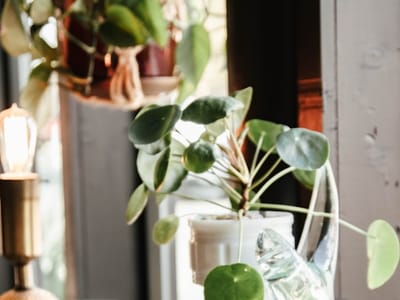 Mission Coffee House