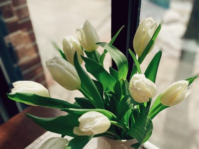 Mission Coffee Stevens Point