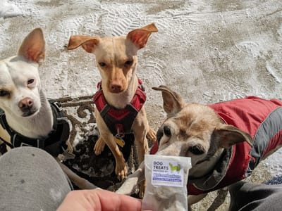 Mission Grounds Espresso