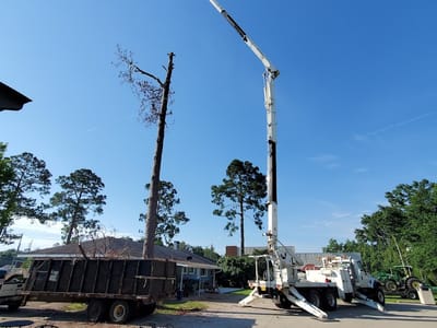 Mixon Up Coffees & More