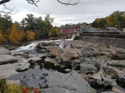 Mocha Maya's Coffee House