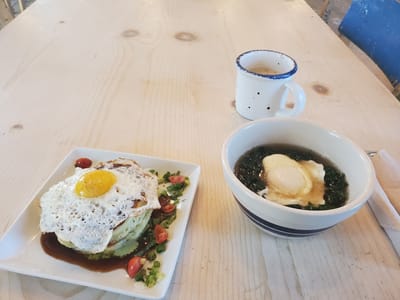 Modern General Feed And Seed