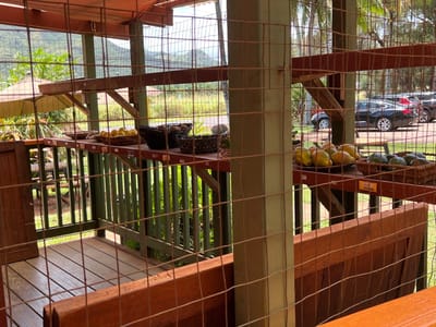 Moloaa Sunrise Fruit Stand