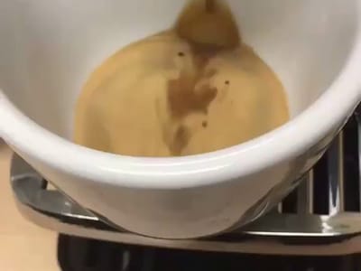 Momentto Coffee Roasters