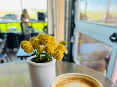 Monk & Mongoose Coffee Co