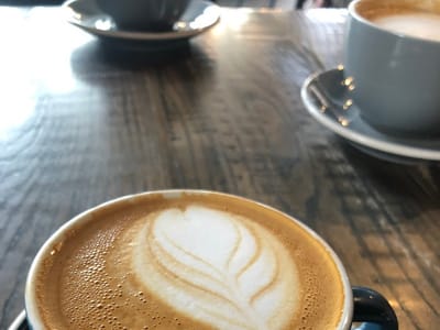 Monk & Mongoose Coffee Co