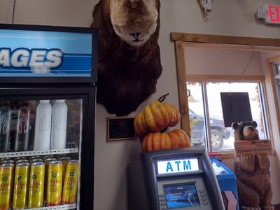 Moose Crossing Sweets and Gifts