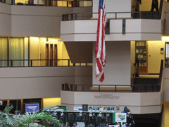 More Uncommon Grounds