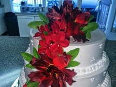 Moreno's Madera Cake