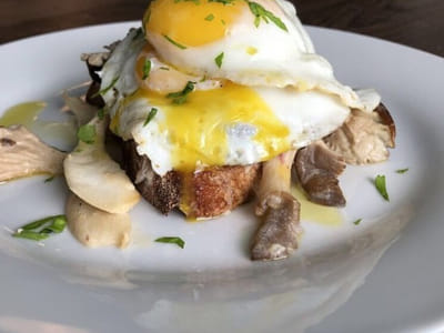 Morgantown Coffee House