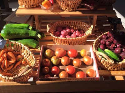 Mornin' Sunshine farm