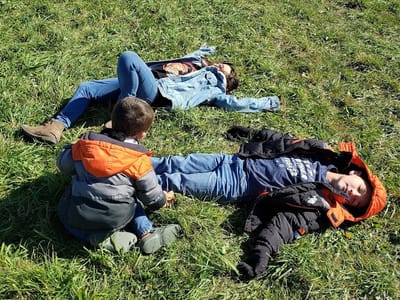 Mornin' Sunshine farm