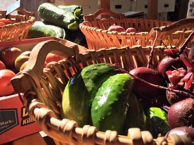 Mornin' Sunshine farm