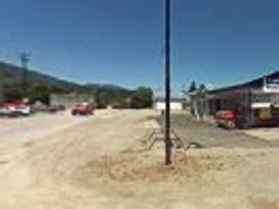 Morning Bear Coffee Co.