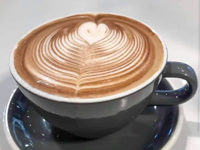 Morse Coffee Company