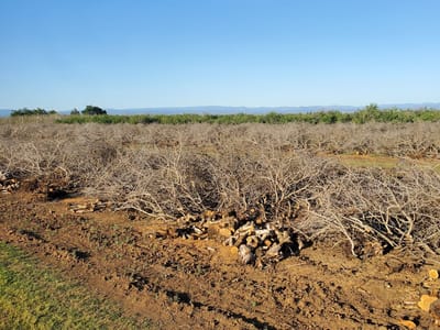 Mother's Four Corners - coming soon