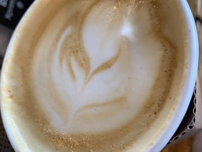 Mountain Grounds Coffee & Tea Co.