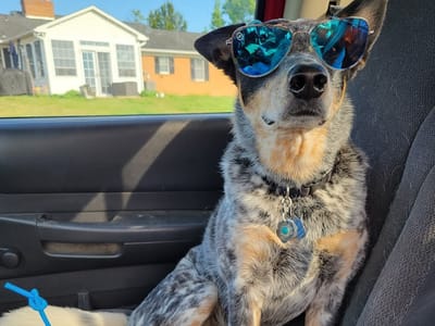 Mountain Mystic Coffee & Gifts