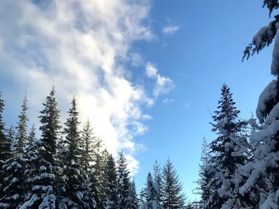 Mountain Springs Lodge