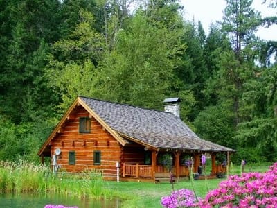 Mountain Springs Lodge