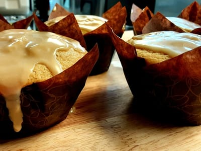 Mountain View Adventures LLC