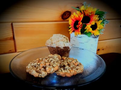 Mountain View Adventures LLC