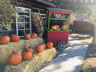 MountainAries Market