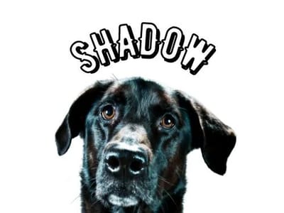 Mr. Campbell's Coffee