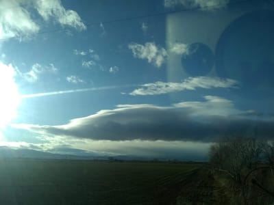 Ms. Shawna's Farmhouse Cafe