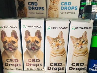 Muddy Lotus Tea Kava Bar