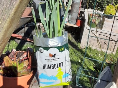 Muddy Waters Coffee Co - Roasting Facility Only. Sorry not a coffee shop . No retail sales.