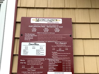 Mudslingers of Rehoboth Beach