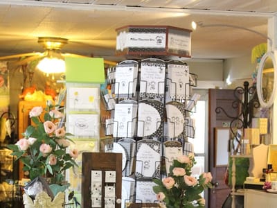 Mulberry Jean's Accents